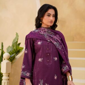women's embroidered ethnic suit set