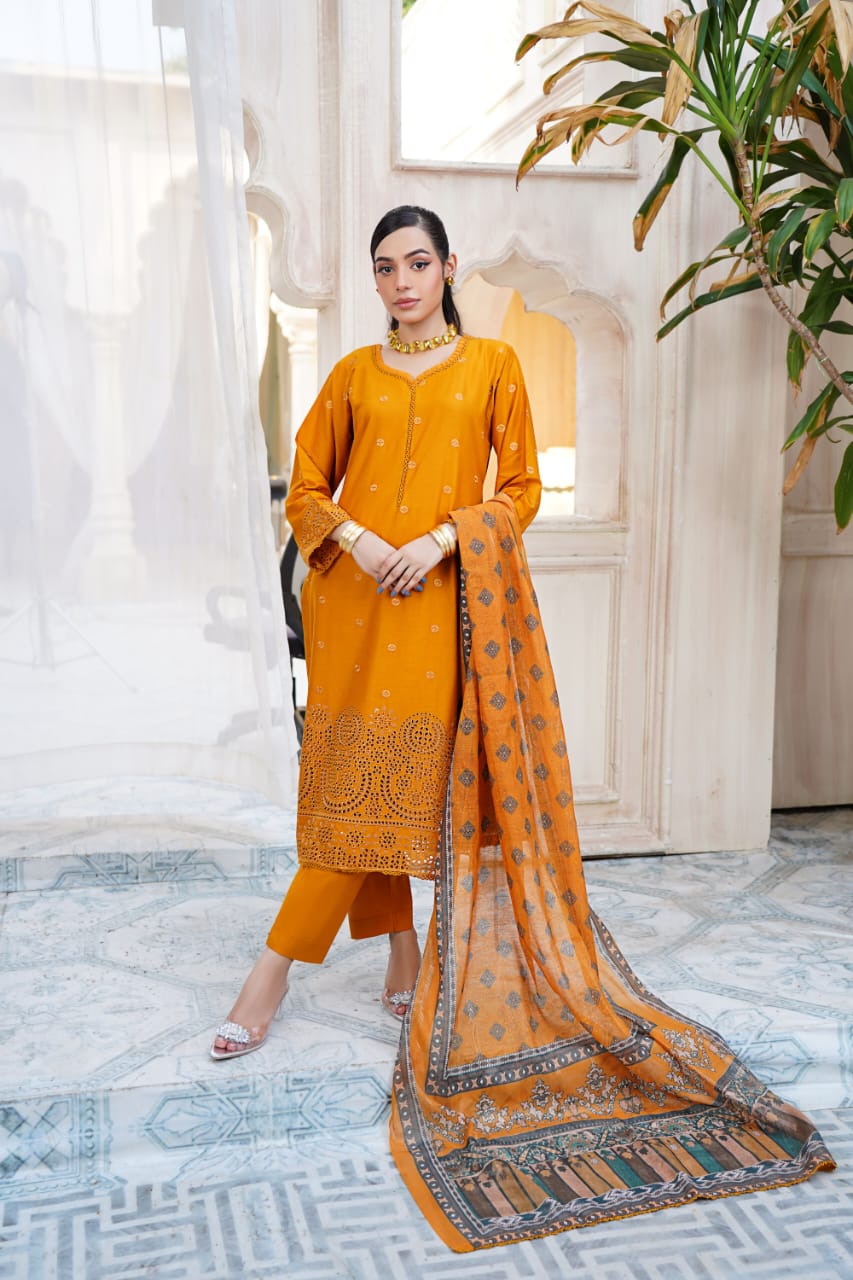 women's embroidered ethnic suit set women's embroidered ethnic suit set