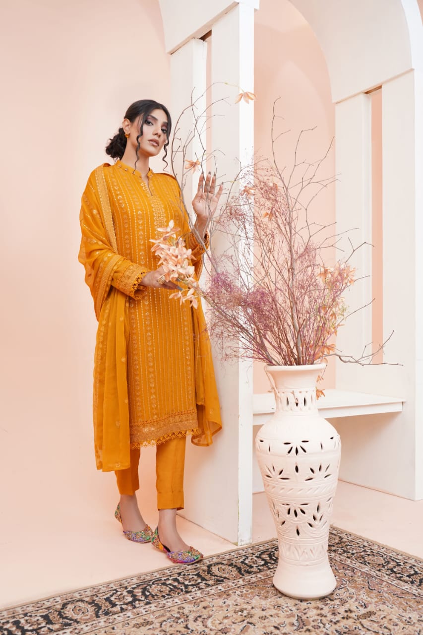 women's embroidered ethnic suit set women's embroidered ethnic suit set