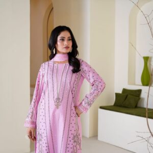 women's embroidered ethnic suit set